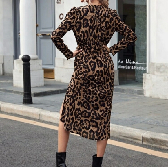 Leopard Wrap Dress - Picture 2 of 5